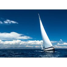 Sailboat In The Wind Wall Mural