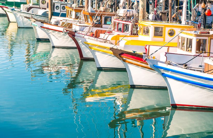Colorful-Sail-Boats-at-Fishermans-Wharf-Wallpaper-Mural