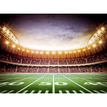 Floodlit Football Stadium Wall Mural