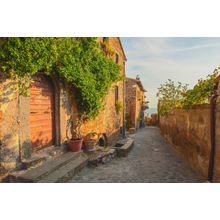 Tuscan Alley Wall Mural