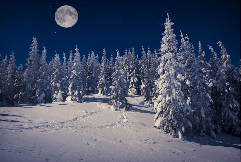 The-Winter-Moon-Wall-Mural
