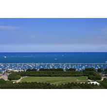 Park and Sailboats Mural Wall Mural