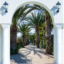 Palm Tree Archway Wall Mural