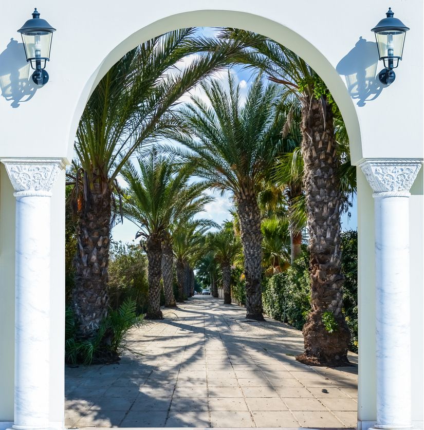 Palm-Tree-Archway-Wallpaper-Mural