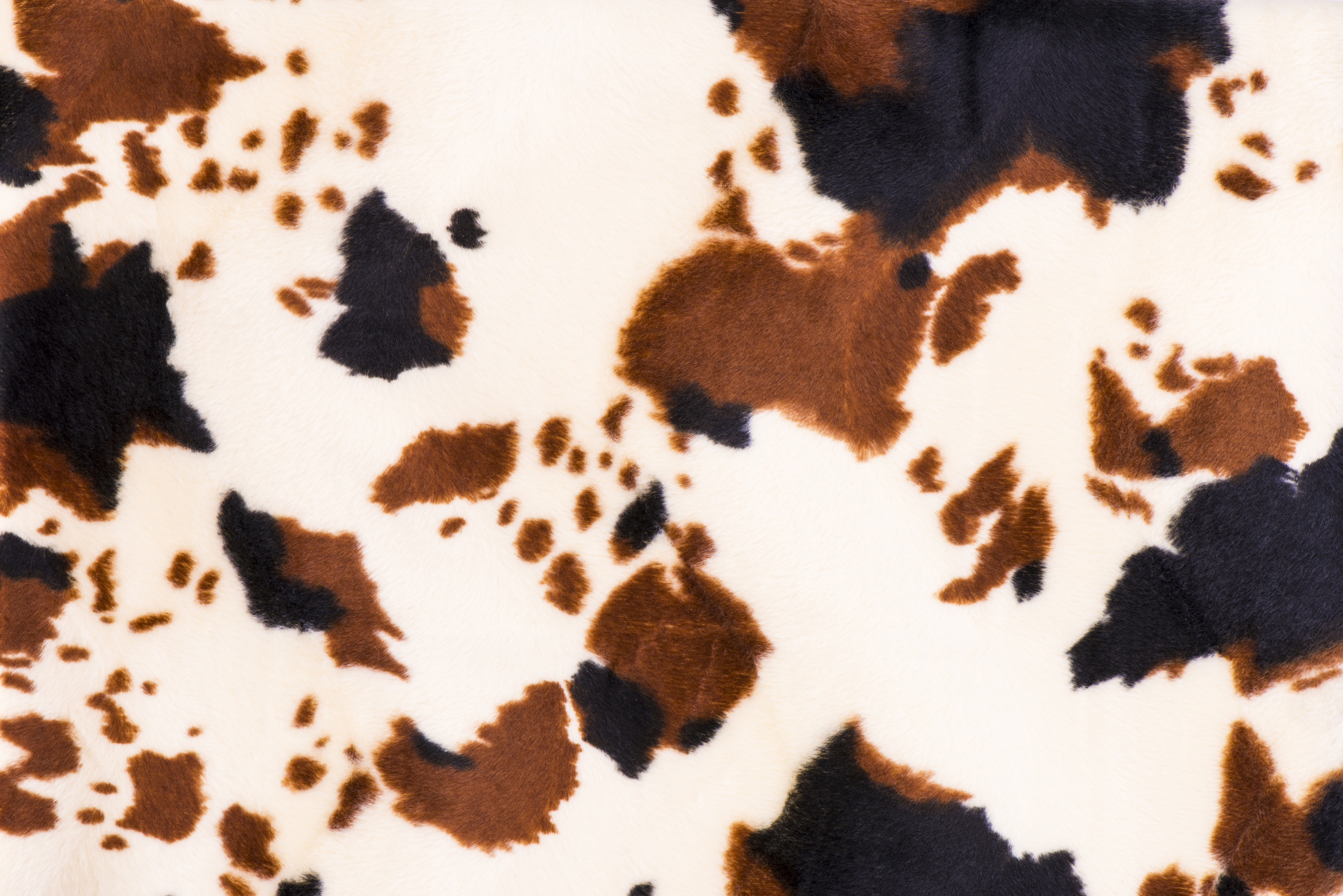 Aesthetic Cow  Cow skin seamless Wallpaper Download  MobCup