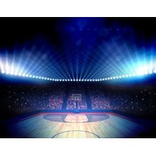 Basketball Arena Wall Mural