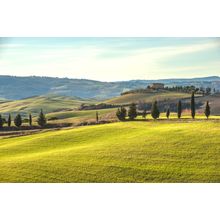Tuscan Hills Wall Mural