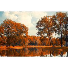 Autumn Lake III Wall Mural