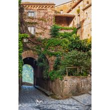 Small Alley In A Tuscan Village Wall Mural