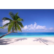 Island Paradise Wall Mural