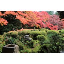 Shisen-Do Garden Wall Mural