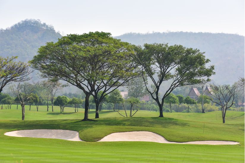 Sand-Bunkers-And-Trees-Wallpaper-Mural