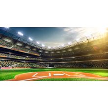 Baseball Grand Arena Wall Mural