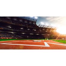 Baseball Grand Arena Wall Mural
