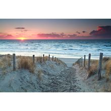 Sand Path To The North Sea Before Sunset In Holland Wall Mural