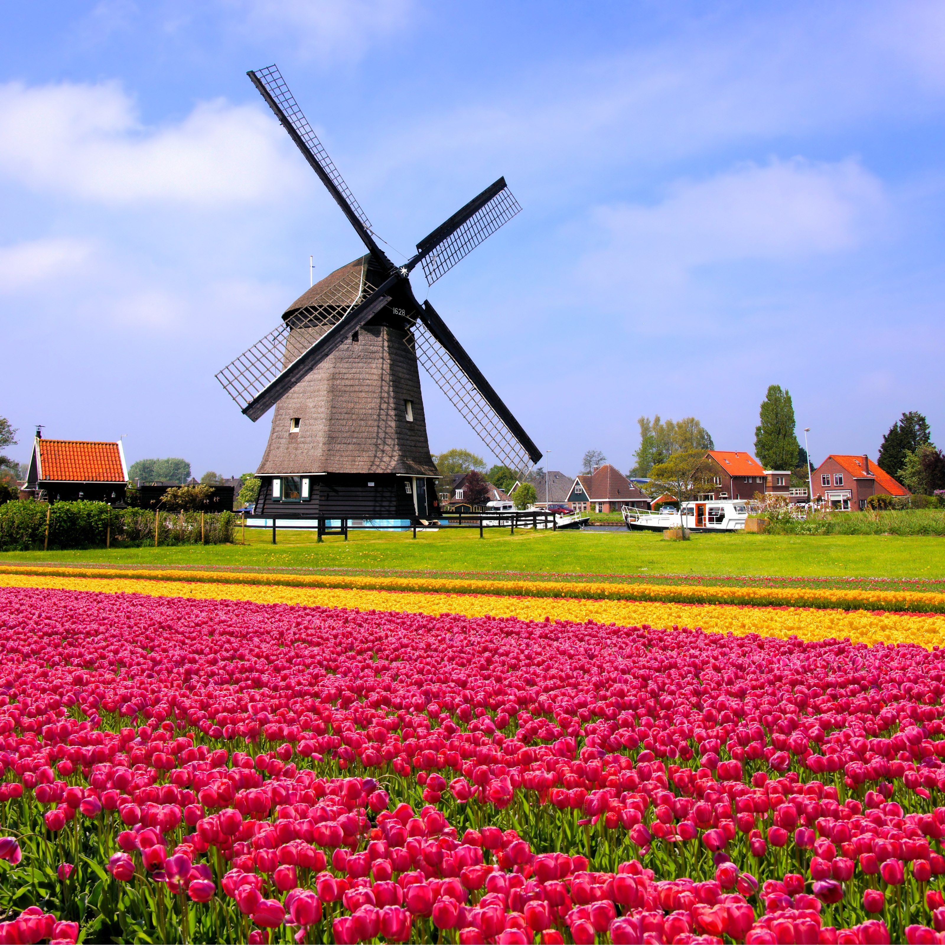Windmill Fogy Netherlands Wallpaper, HD City 4K Wallpapers, Images and  Background - Wallpapers Den