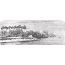 Accommodation Piros-Chontaquiros, Vintage Engraved Wall Mural
