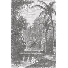 Hot Springs Near Lake Tondano Wall Mural