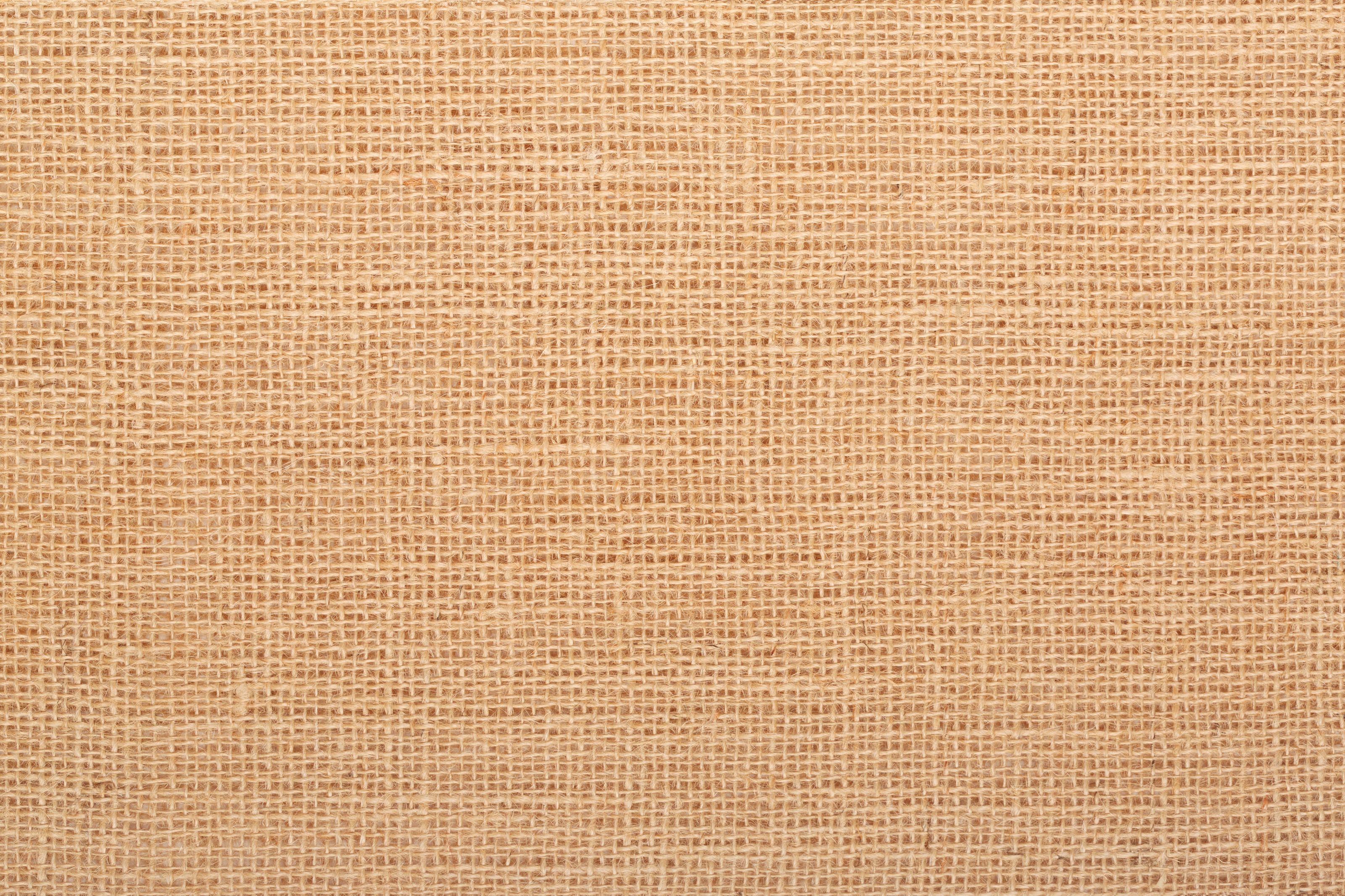 Canvas texture coated by white primer. Seamless square texture