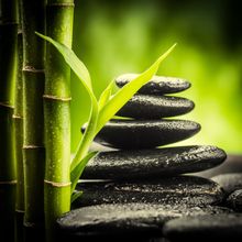 Zen Basalt Stones And Bamboo Wall Mural