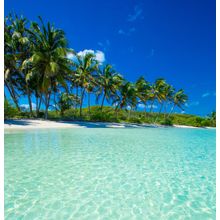 Palms And Tropical Beach Wall Mural