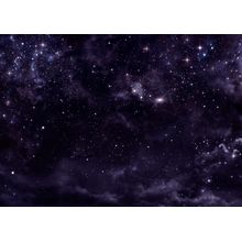 Starry Night Sky In Deep Outer Space Wall Mural