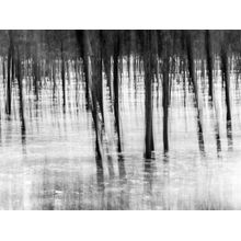 Impressionist Forest Wall Mural
