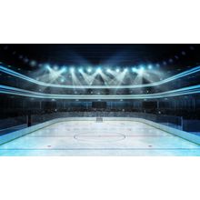 Hockey Stadium Wall Mural