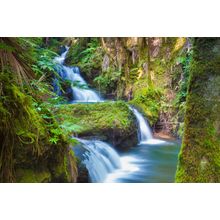 Beautiful Waterfall In Tropical Rainforest In Hawaii Wall Mural