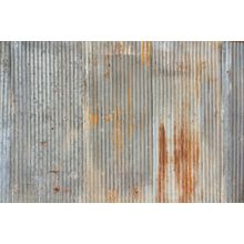Rusted And Weathered Corrugated Metal Wall Mural