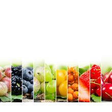 Fruits and Berries Mural Wallpaper