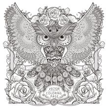 Gorgeous Owl Illustration Wall Mural