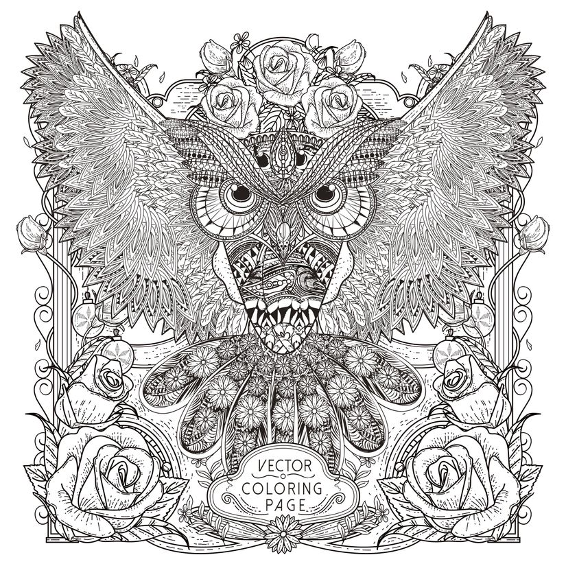 Gorgeous-Owl-Illustration