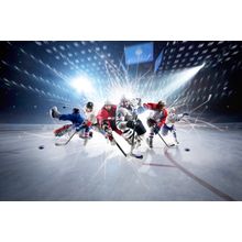 Collage Of Hockey Players Wall Mural