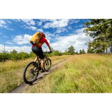 Bike Ride In Summer Wall Mural