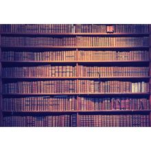 Old Books On Wooden Bookcase Wall Mural