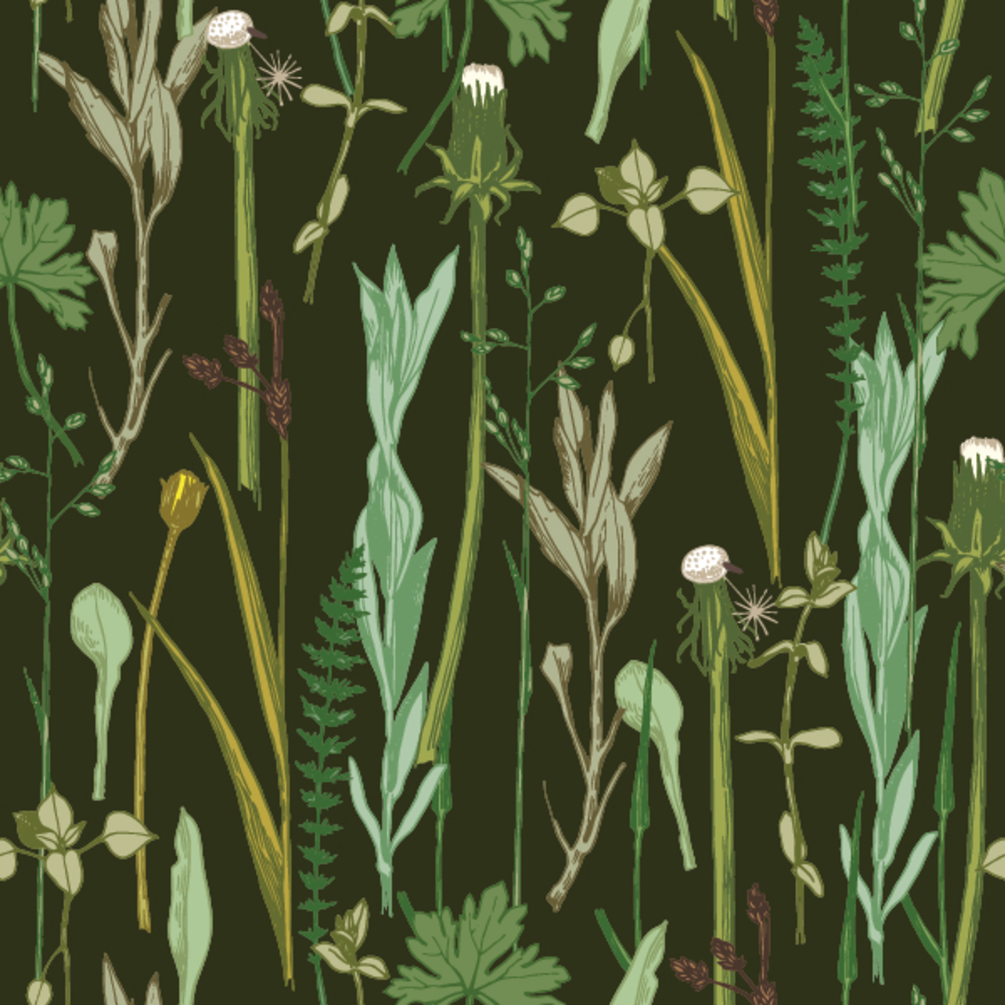 Vintage Herbal Pattern Wallpaper - Murals Your Way