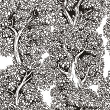 Enchanted Forest Pattern Wallpaper