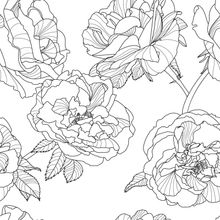 Black and White Floral Pattern Wallpaper