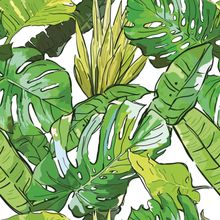 Tropical Leaves Sketch Pattern Wallpaper