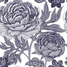 Pretty Peony Pattern - Blue Wallpaper