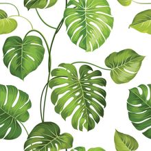 Tropical Leaf Pattern Wallpaper - Murals Your Way