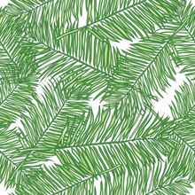 Graphic Palm Leaves Pattern Wallpaper
