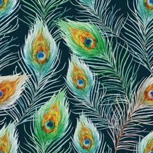 Peacock Plumes Wallpaper