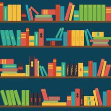 Bookshelf Illustration Wall Mural