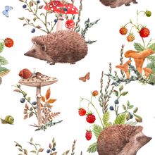 Hedgehog and Mushroom Pattern Wallpaper