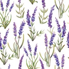 Watercolor Lavender Pattern Wallpaper