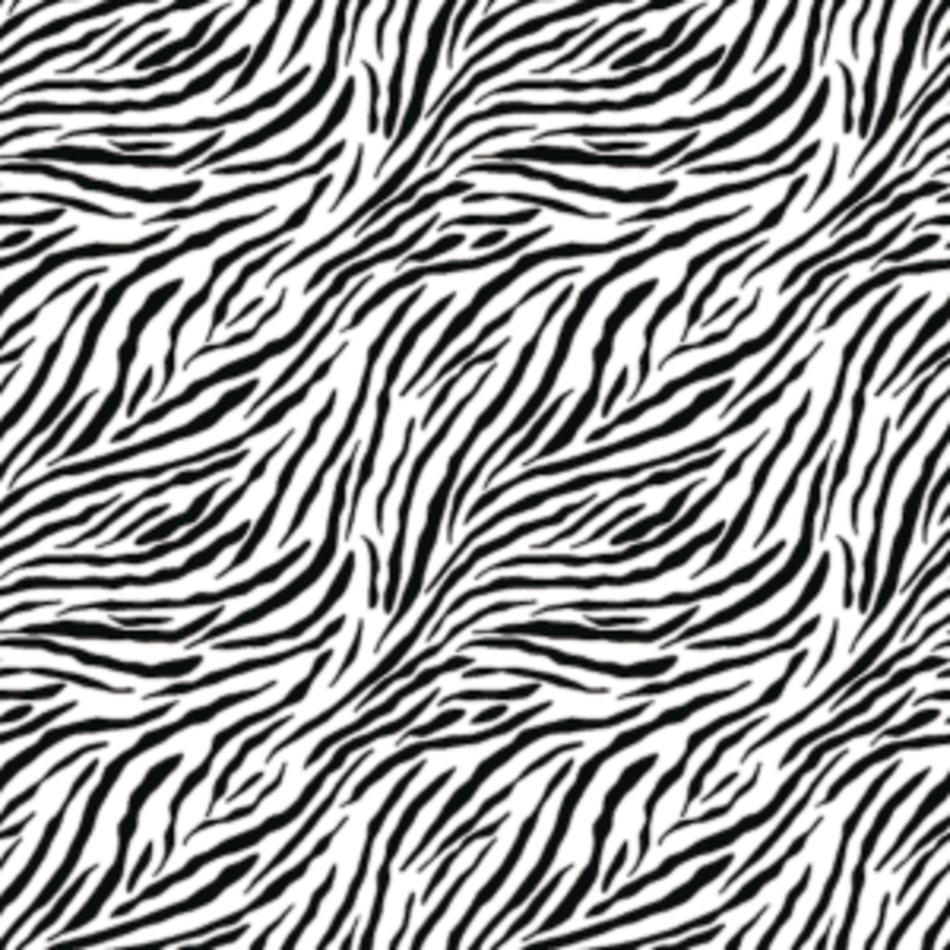 Zebra Print Pattern Mural - Murals Your Way