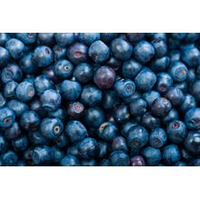 Blueberry Background Wall Mural
