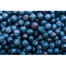 Blueberry Background Mural Wallpaper